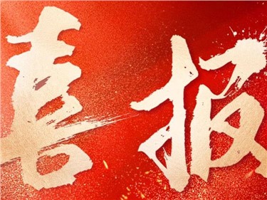 双喜临门|华体会·(hth)体育集团成功中标国家电网总部采购项目、内蒙古电力公司采购项目，总中标金额超3.6亿元！